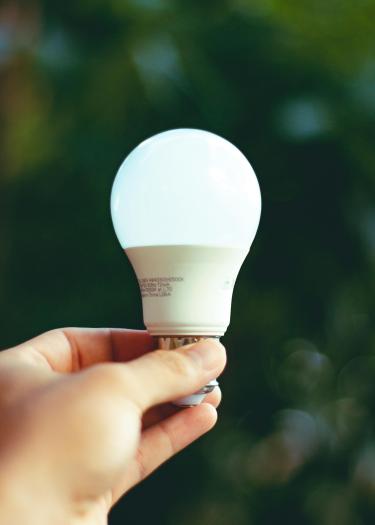 Im Fokus: Hand mit LED-Birne vor grüner Naturlandschaft